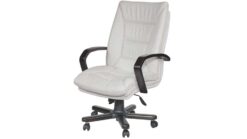 Müdür Koltuğu AS0213