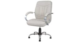 Müdür Koltuğu AS0221