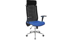 Müdür Koltuğu AS0229