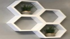 Boyalı Petek Kitaplık